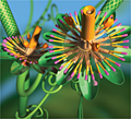 UKTV Style Gardens: ident for new channel