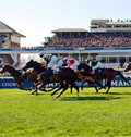 Grand National: website launching