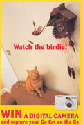 Go-Cat: mail campaign