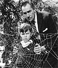 'The Fly': online campaign