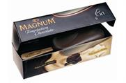 Unilever researches 'low-carbon' ice cream
