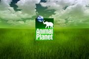 Animal Planet: part of BBC joint venture with Discovery
