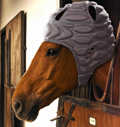 Airowear: from horses to rucks and mauls