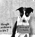 Dogs TRust: targeting dog lovers