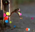 Sony Bravia: digital push backing campaign