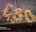 Binge drinking: being targeted by new ads