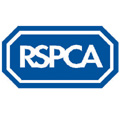 RSPCA: £1m Christmas campaign