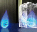 British Gas: attempting to avert vetting