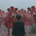 Cravendale: Arla brand