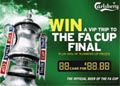 Carlsberg: on-pack promotion