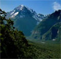 New Zealand: MindShare wins international tourism task
