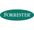 Forrester: new report