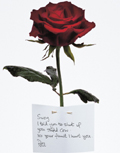 Women's Aid: Valentine's campaign