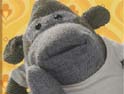 Monkey