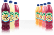 Britvic hands iD experiential brief
