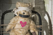 Mysinglefriend.com: The Bear Gets It campaign