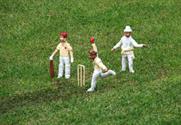 Event industry charity cricket match to take place in late July