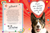 Dogs Trust direct mail campaign