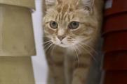 Ikea's 'cats' TV ad was one of the Gold BIG Awards winners