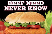 Burger King: Tendercrisp chicken burger campaign