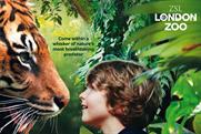 ZSL London Zoo: promotes the opening of its tiger enclosure
