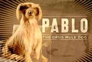 Pablo: part of the government's Frank campaign