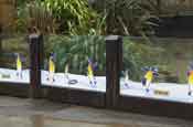 London Zoo: McVitie's promo
