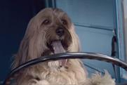 Bakers: creates ad for dogs' ears only