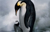 March of the Penguins: WWF offers free rental