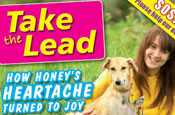 Take the Lead: by Dogs Trust