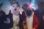 J20: rolls out 'cats and dogs' campaign
