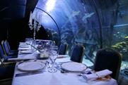 Dinner at Sharkbait Reef