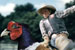 Public View - Drench 'pheasant rodeo' by CHI & Partners