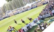 Rhubard to create packages for polo event