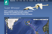 WWT: website designed by One Black Bear