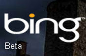 Bing: Microsoft asks users to bing and ping