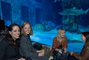 Picture gallery: relaunch of London Aquarium