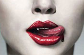 True Blood: HBO series launches blog