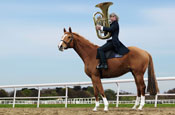 Kempton Park: publicises The Classical Canter