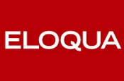 Eloqua: launches prospect information tool 