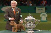 Crufts