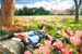 National Trust…aiming to increase visitor numbers