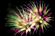 Galaxy Fireworks are among this weekend's giveaways