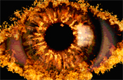 Celebrity Big Brother: 2010 logo