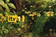 ITV1 looks to boost audience with a +1 channel