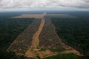 Amazon rainforest