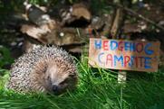 RSPB: challenges misconceptions with debut TV ad