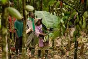 Magnum: ties up with the Rainforest Alliance