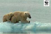 CRITIQUE - WWF and the inconvenient truth
