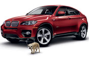 BMW: consolidates account